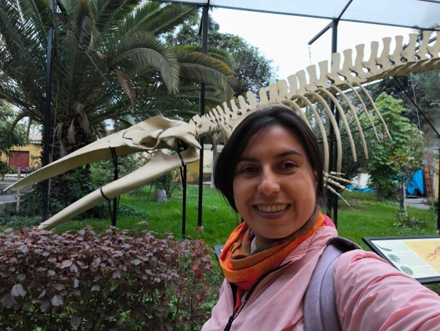 Alejandra Pardo Martínez